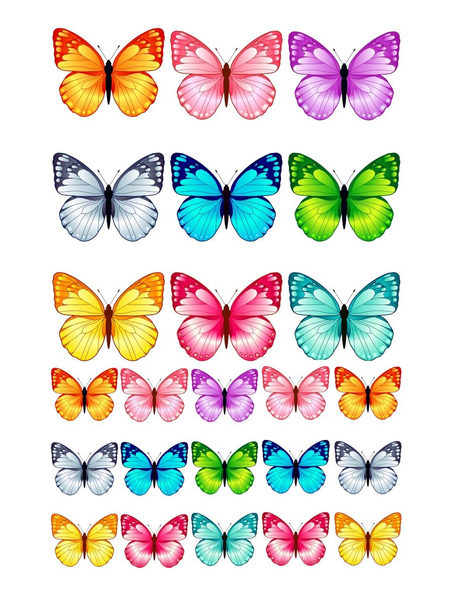 Бабочки для торта цветные