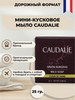 Парфюмированное мини-мыло в дорогу. 25 г бренд Caudalie продавец Продавец № 845699