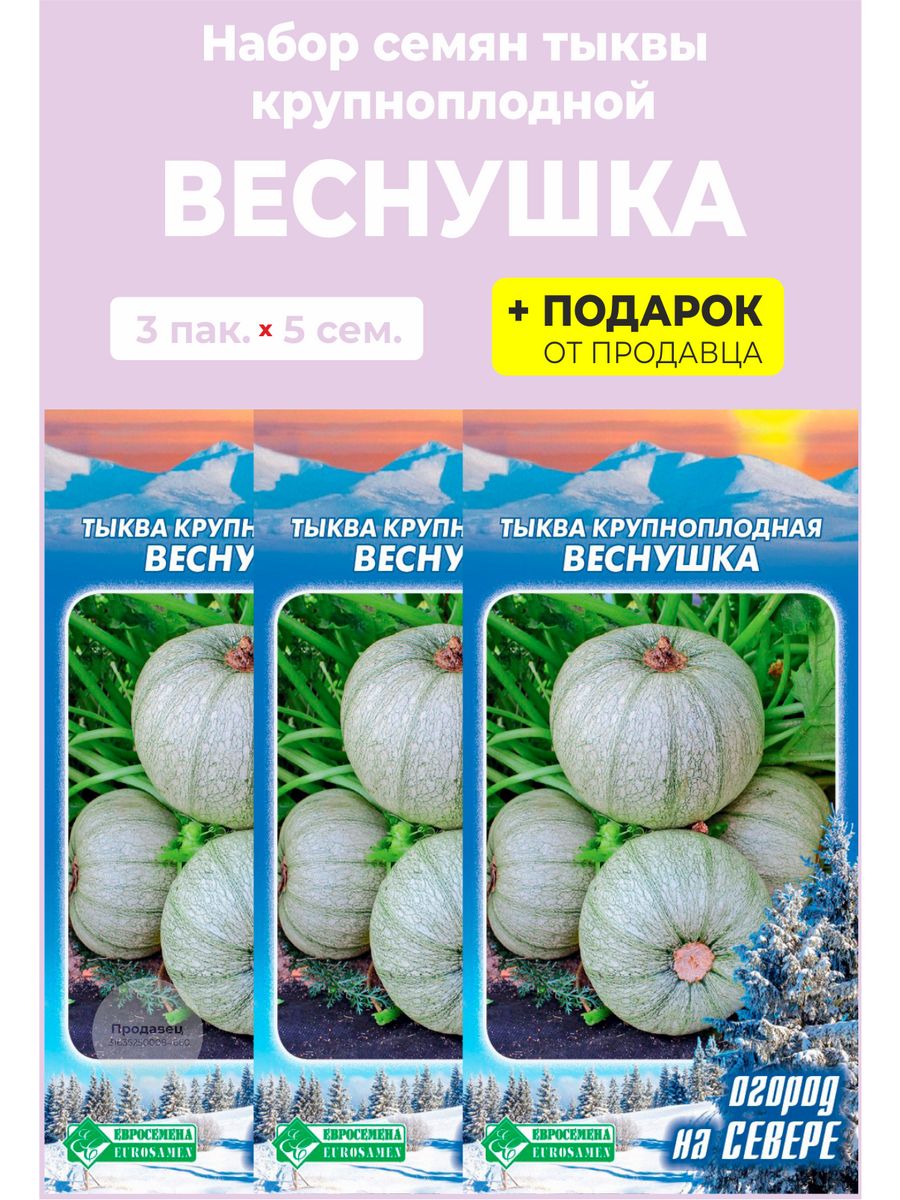 Тыква веснушка фото