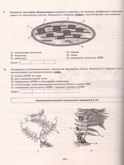 Все рисунки для егэ по биологии 2023