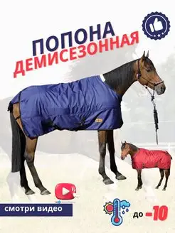 Попона для лошади