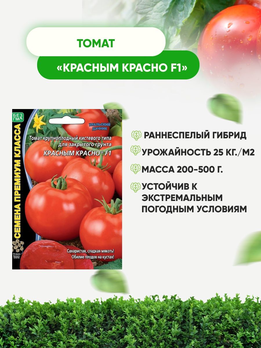 Томаты красным красно отзывы фото