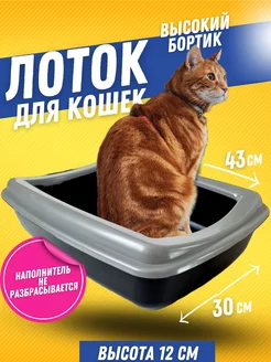 Лоток для кошек большой с бортиком