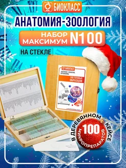 Стекла для микроскопа 100 образцов, микропрепараты