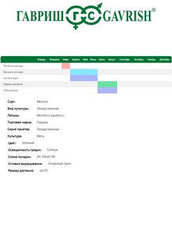 Мята овощная ментол а