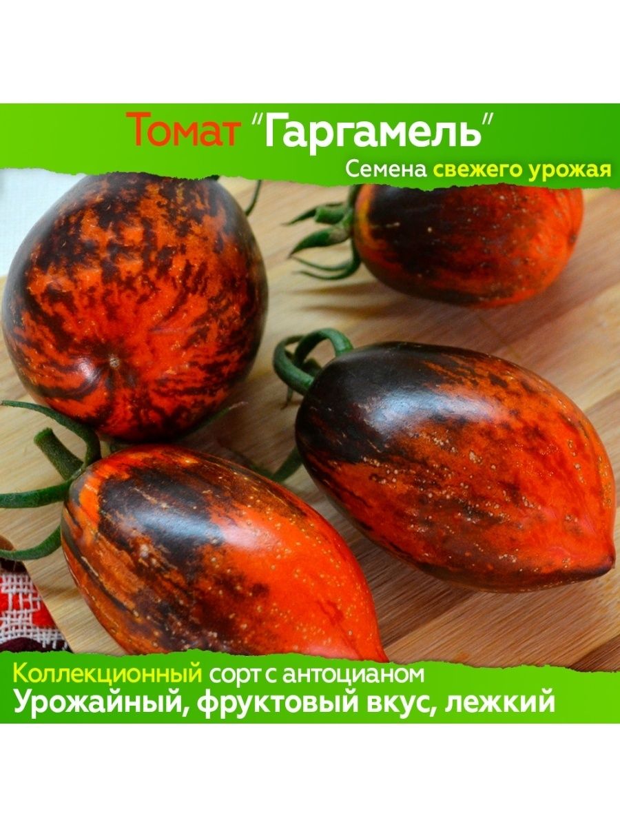 Гаргамель томат купить семена