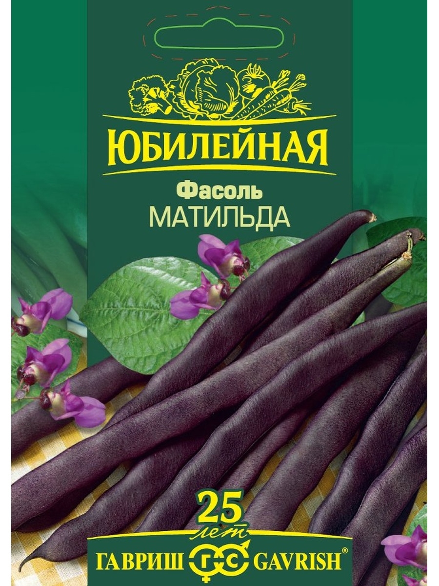 Матильда фасоль фото