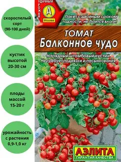 Томат Балконное чудо черри для балкона горшка