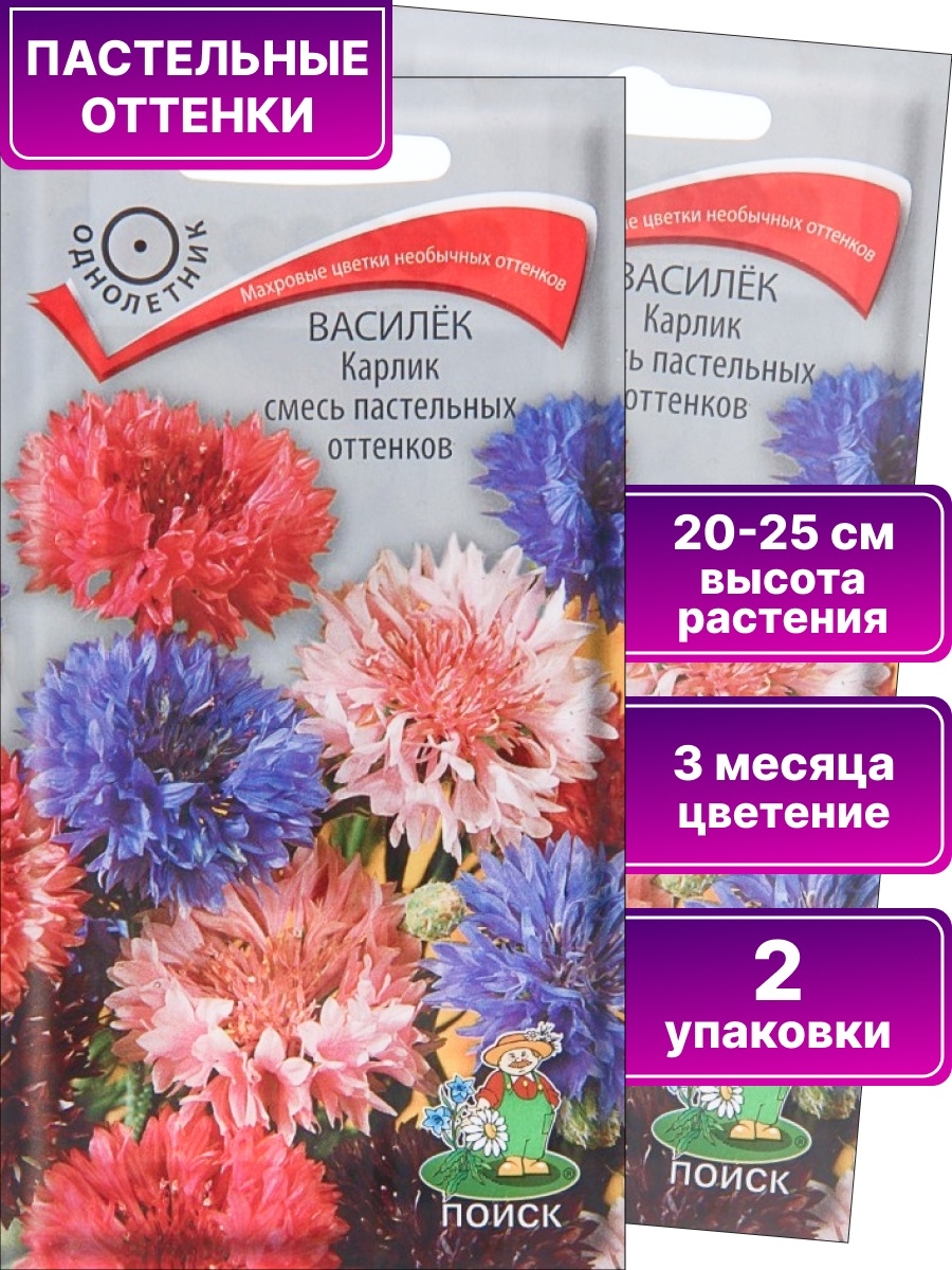 Василек махровый. Василек карлик смесь пастельных оттенков. Василёк смесь окрасок. Василек махровый смесь. Василек карлик.