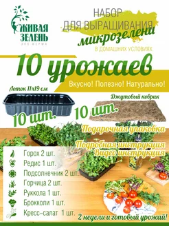 Набор для проращивания микрозелени 10 урожаев