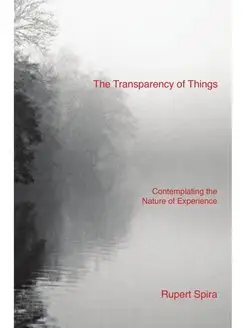 The Transparency of Things