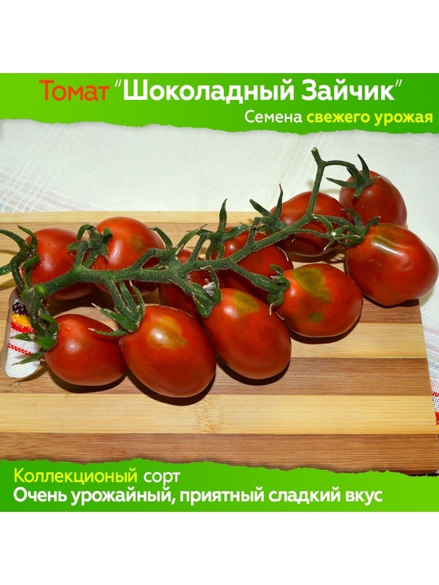 Семена томат шоколадный заяц