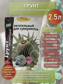 Грунт для кактусов и суккулентов земля для суккулентов