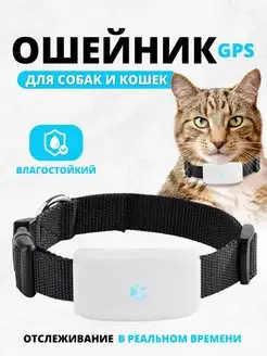 GPS ошейник для животных TK911