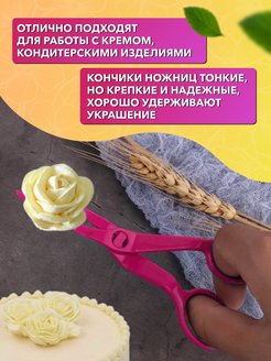 Ножницы торт перчатка рубашки