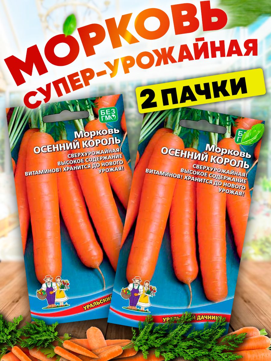 морковь осенний король фото