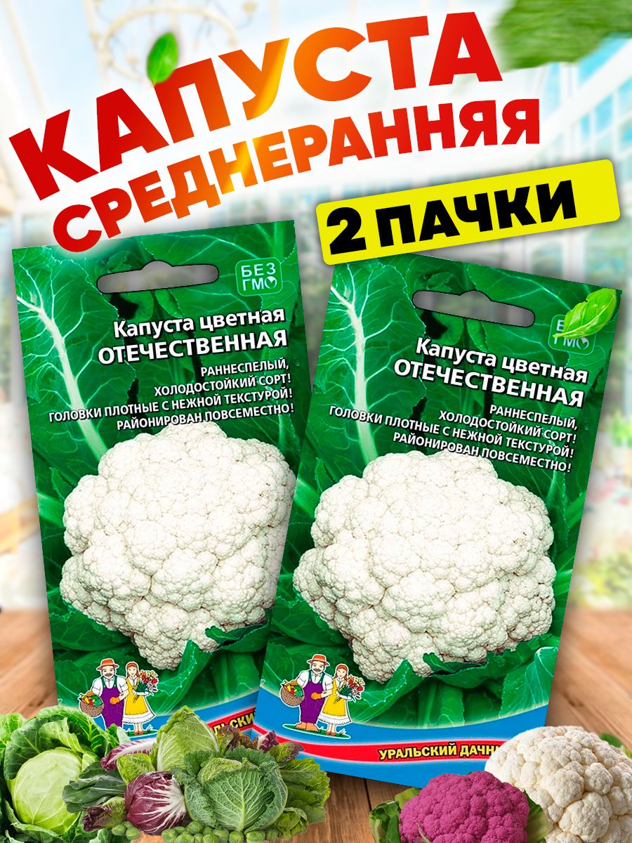 Цветная капуста снежный шар характеристика и описание сорта фото