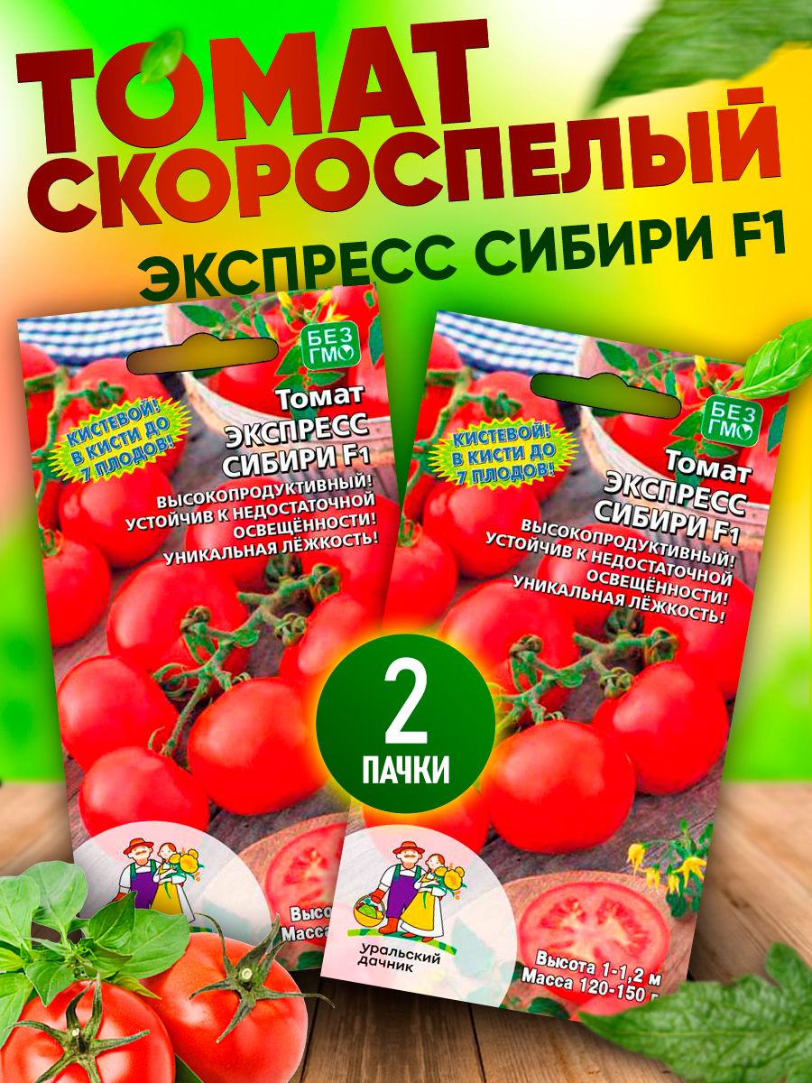 Сибирские сладости томат