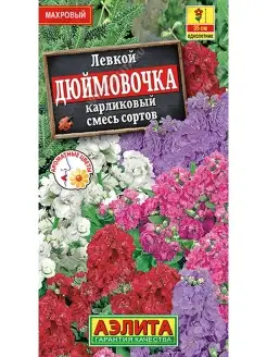 Левкой Дюймовочка смесь, 2 пакета