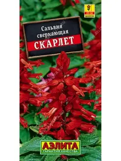 Сальвия сверкающая Скарлет, 2 пакета