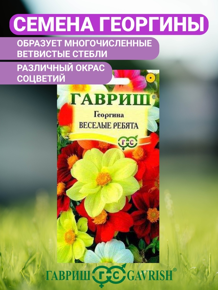 Семена цветов купить интернет магазин гавриш дешевая доставка цветов по москве