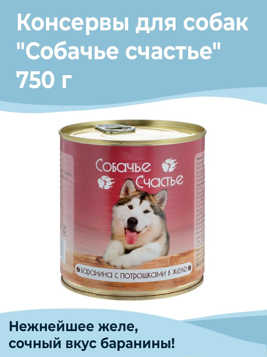 Собачье счастье