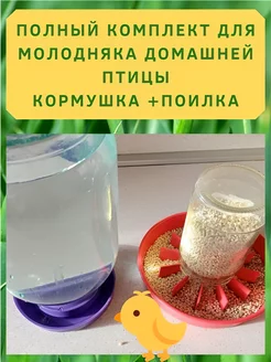 Вакуумная поилка и кормушка для птиц, кур, цыплят