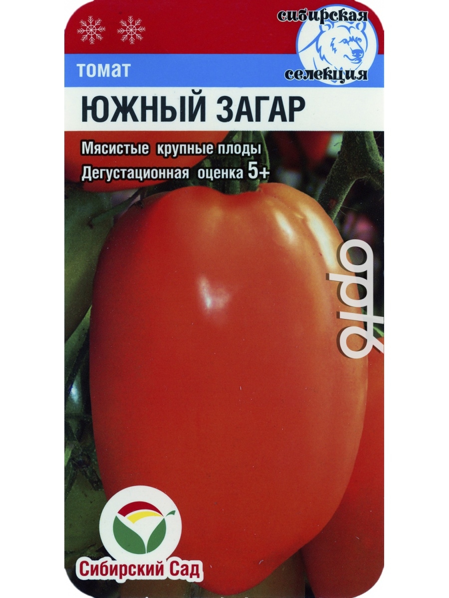 Помидоры южный загар описание сорта. Томат Южный загар Сибирский сад. Томат загар. Томат сорт Южный загар. Южный загар.
