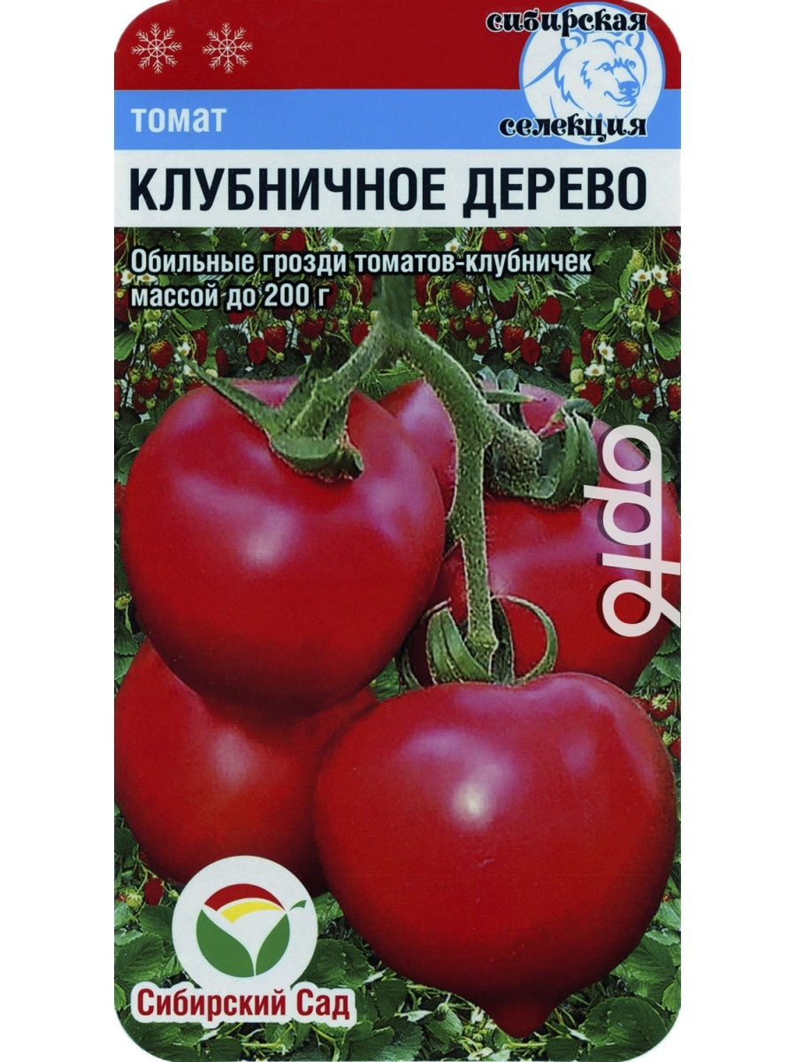 Томат клубничное дерево описание отзывы. Томат клубничное дерево. Томат клубничный десерт. Томат конфетное дерево. Томат клубничный десерт 0,1г Гавриш.