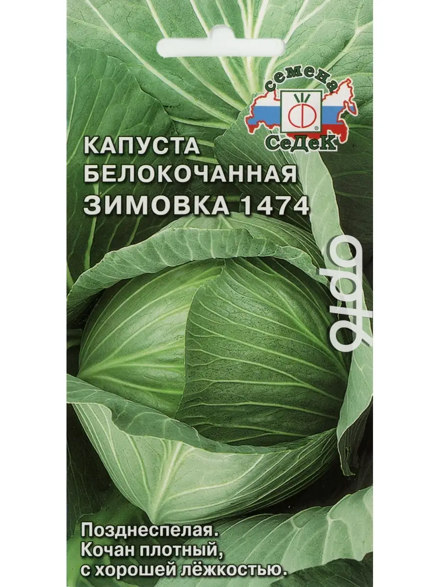 Капуста зимовка описание отзывы. Капуста зимовка 1474. Капуста зимовка. Капуста зимовка схема посадки.