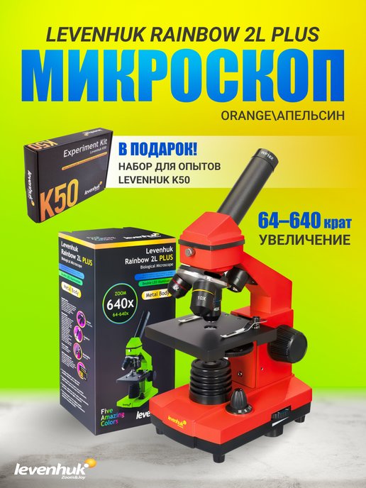 Микроскоп levenhuk 2l plus. Микроскоп Levenhuk Rainbow 2l Plus зеленый. Микроскоп Levenhuk Zoom. Что видно в микроскоп Levenhuk Rainbow 2l Plus.