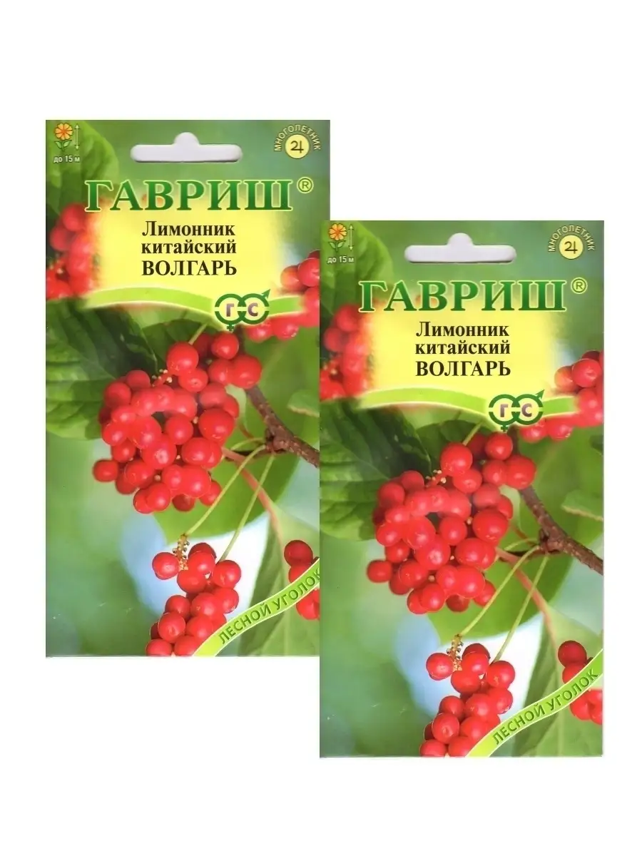 Лимонник Комнатный Купить Семена