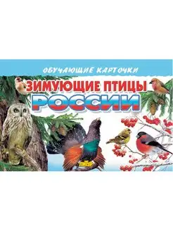 Обучающие карточки Зимующие птицы России 16 шт