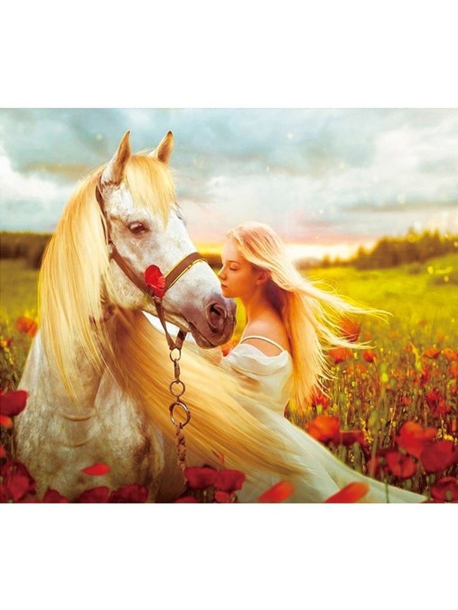 Картина девушка на лошади