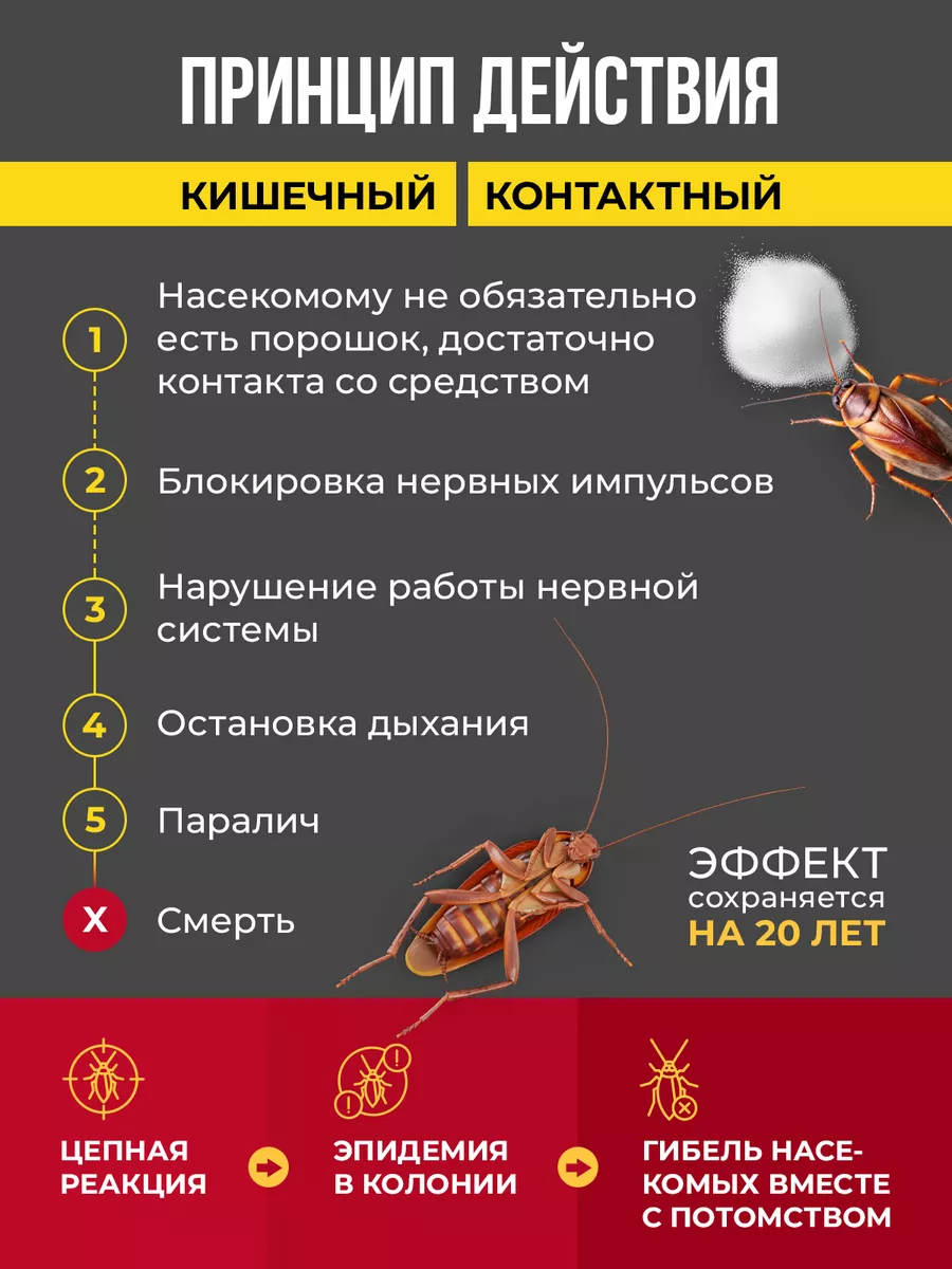 Эффективные способы борьбы с тараканами в микроволновке