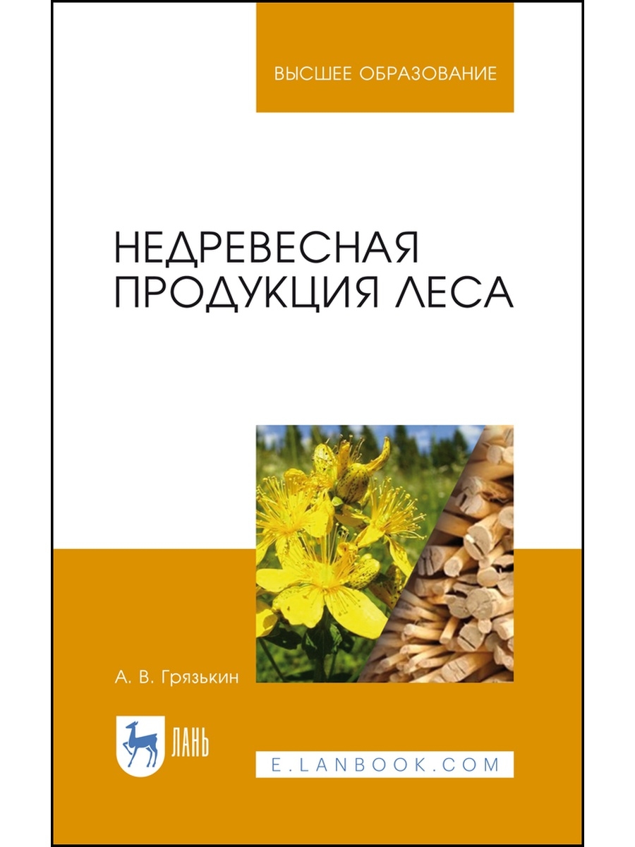 Лес учебник. Недревесная продукция леса. Использование недревесной продукции леса. А.В.Грязькин. Недревесная продукция леса: практикум. Лес в учебнике.