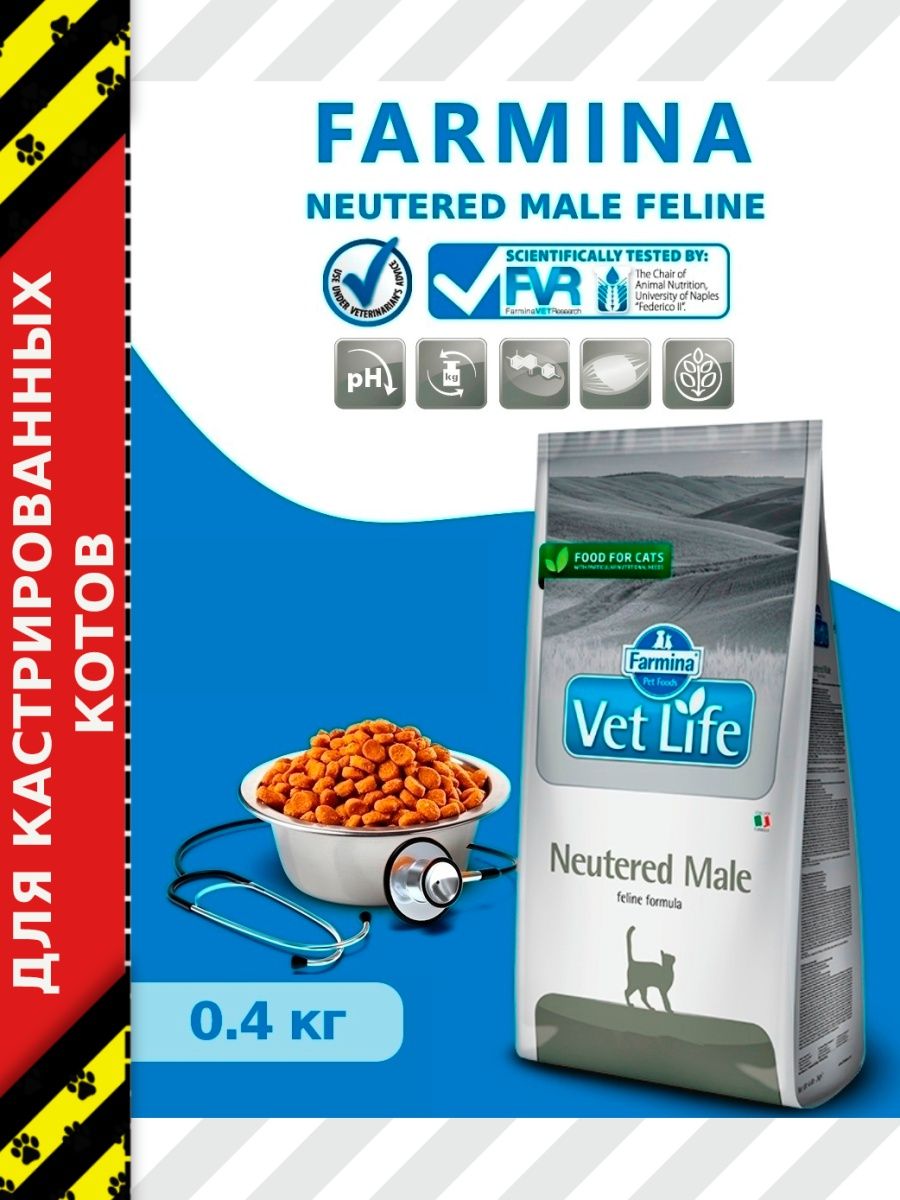 Vet life cat neutered male