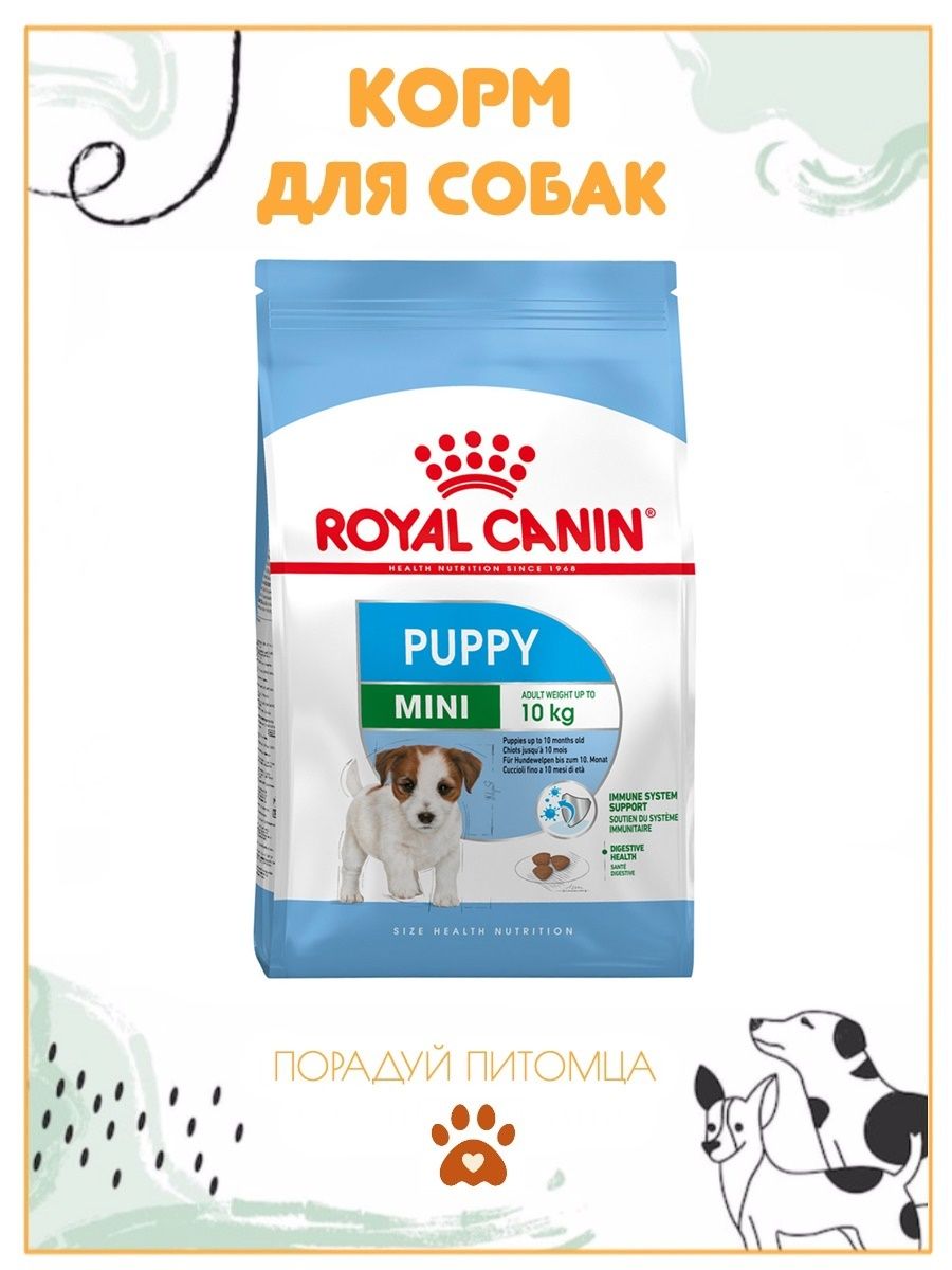 Royal canin puppy mini