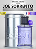 Парфюмерная вода JOE SORRENTO POUR HOMME, 100 мл бренд JEANNE ARTHES продавец Продавец № 39240