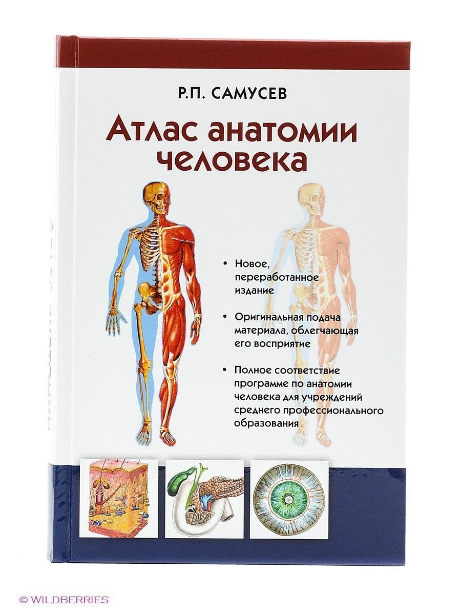 Книга анатомия человека. Самусев Рудольф Павлович атлас анатомии человека. Атлас анатомии человека Самусев 2003. Учебное пособие по анатомии человека Самусева. Самусев р.п. 