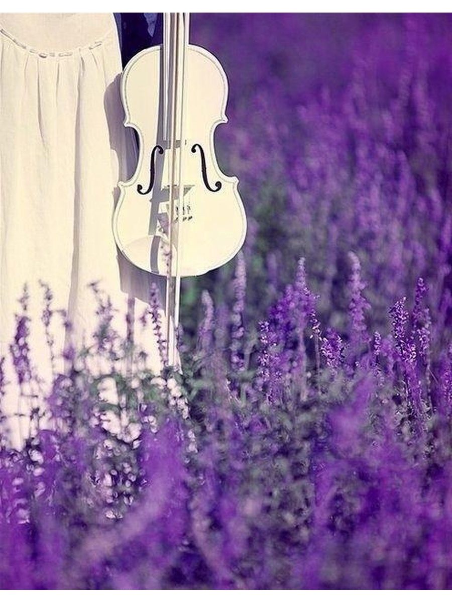 Весенняя скрипка. Скрипка в сиреневых тонах. Вдохновение цветом. Скрипка в цветах.