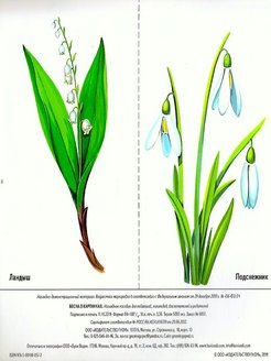 Весна в картинках наглядное пособие