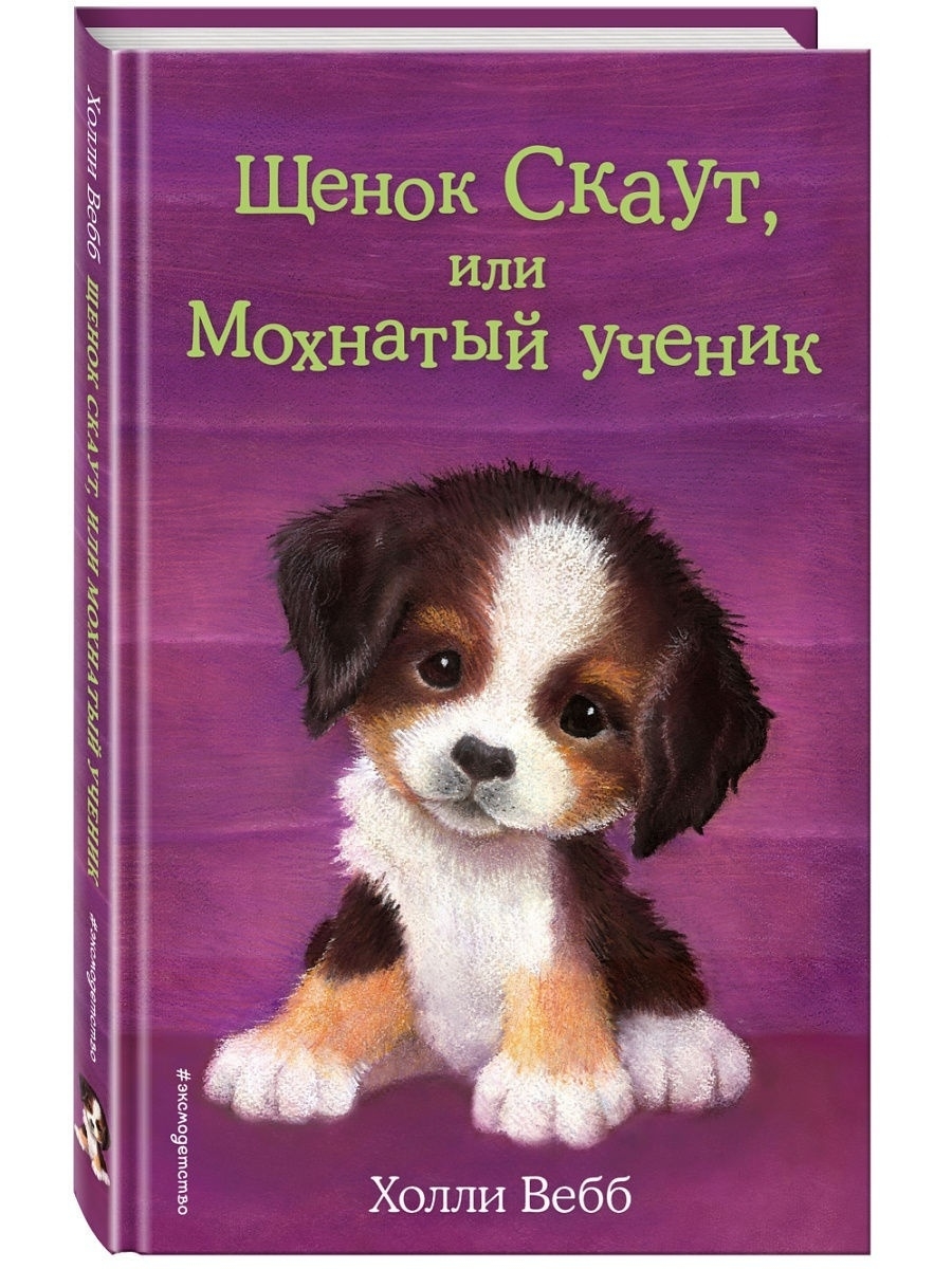 Картинки книги холли вебб на русском картинки