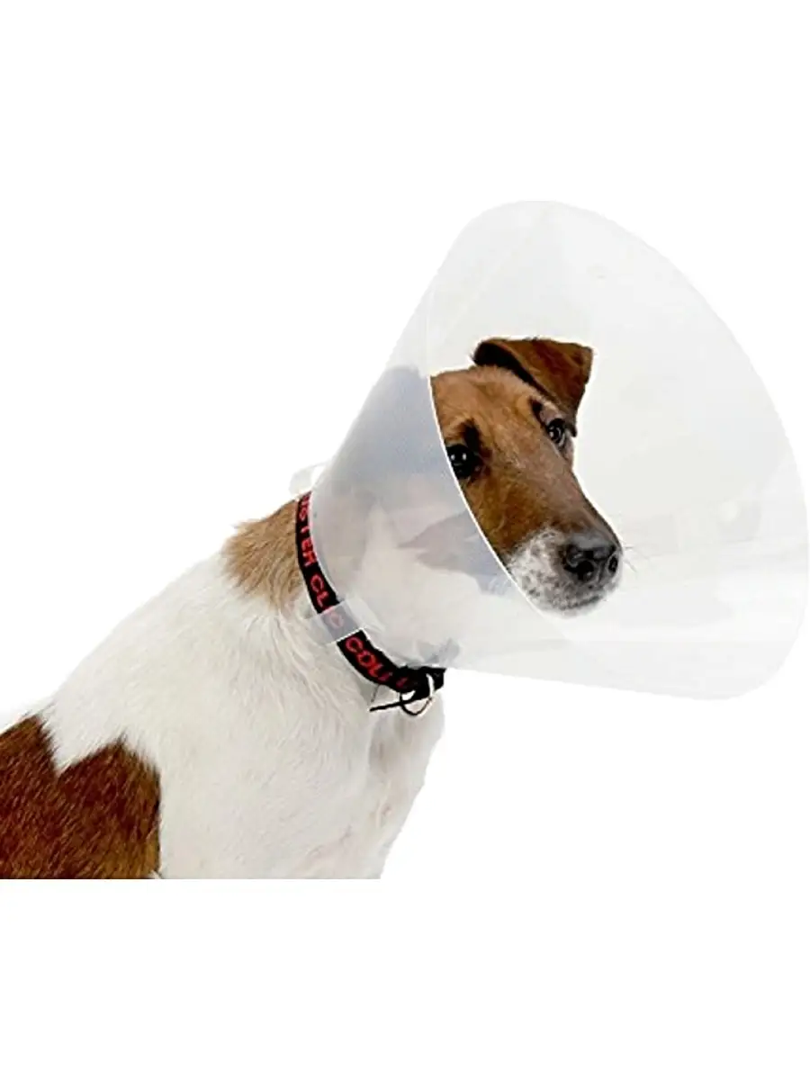 Ветеринарный елизаветинский воротник для собак и кошек OSSO fashion, L