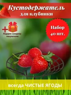 Кустодержатель для клубники подставка