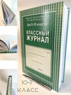 Классный журнал для 10-11 классов для школы