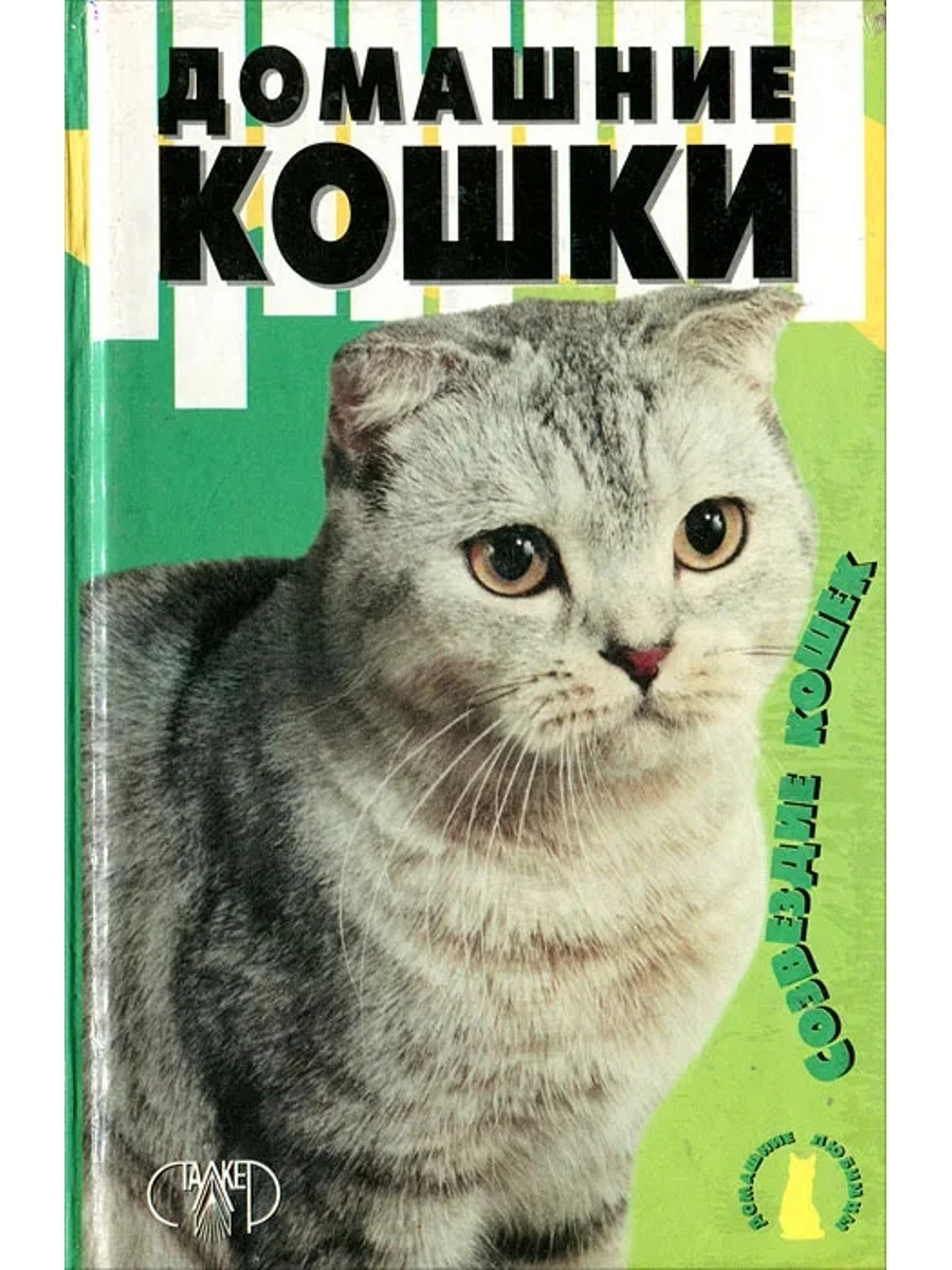 Домашняя кошка книга. Книга домашние кошки. Книги о кошках Художественные. Книги про домашних кошек. Обложка кошки.