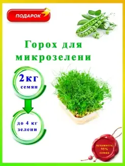 Горох для проращивания для микрозелени