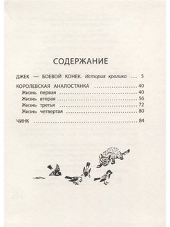 План рассказа королевская аналостанка 5 класс