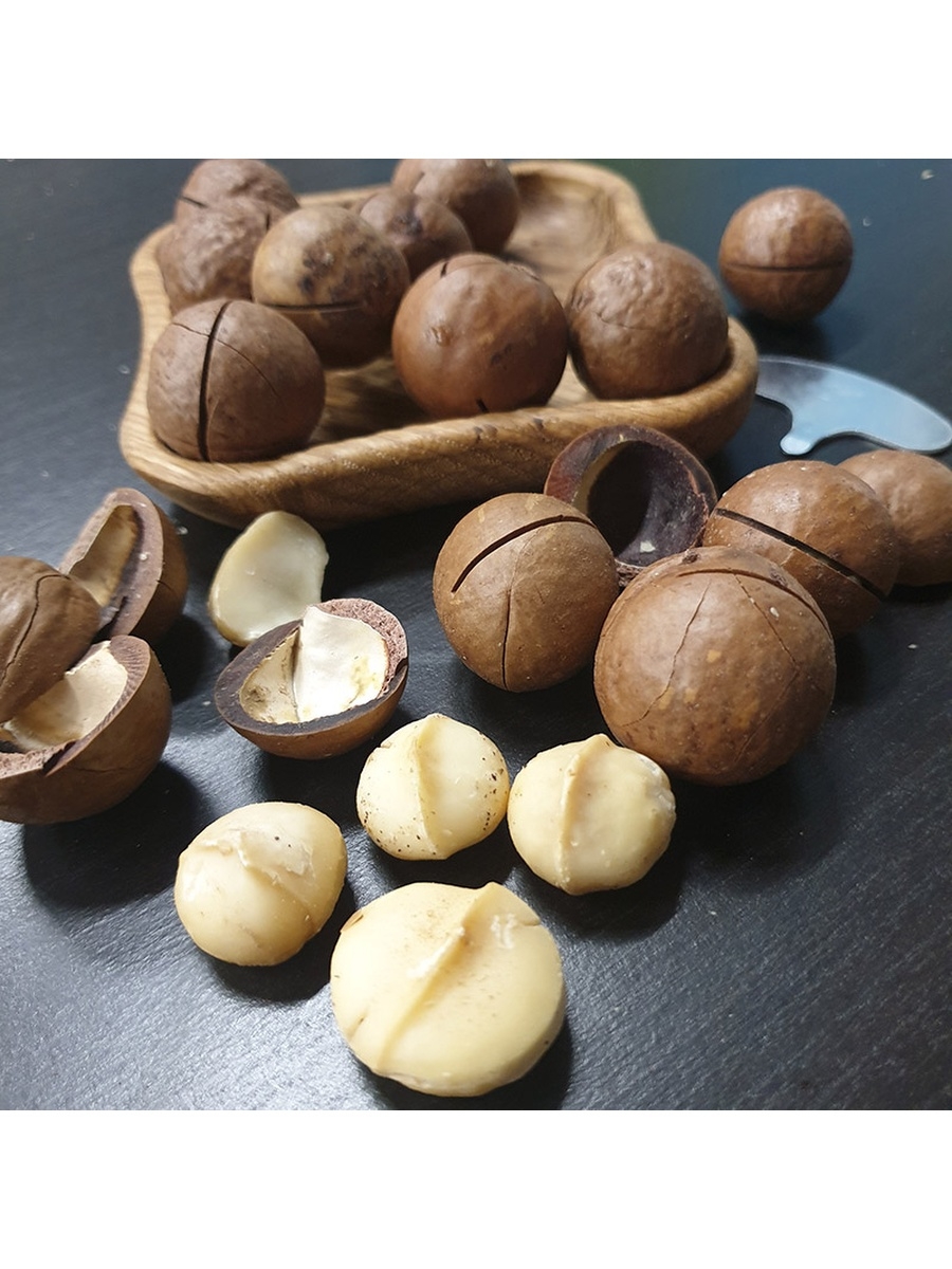 Бразильский орех макадамия